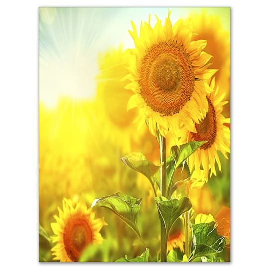 Designart - Bright Sunflowers Blooming on Field